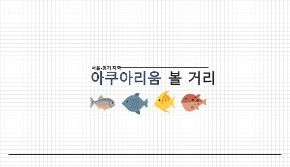 &quot;물고기 좋아해? 그럼 아쿠아리움이지&quot; 수도권 아쿠아리움 관람 Tip