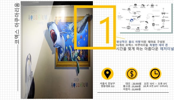&quot;물고기 좋아해? 그럼 아쿠아리움이지&quot; 수도권 아쿠아리움 관람 Tip