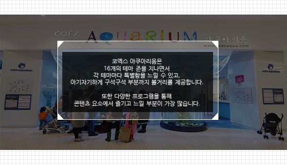 &quot;물고기 좋아해? 그럼 아쿠아리움이지&quot; 수도권 아쿠아리움 관람 Tip