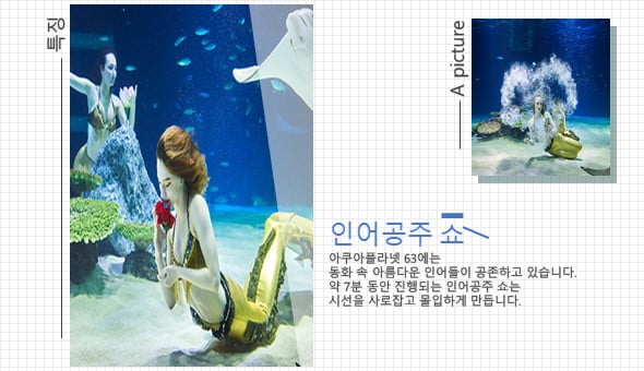 &quot;물고기 좋아해? 그럼 아쿠아리움이지&quot; 수도권 아쿠아리움 관람 Tip