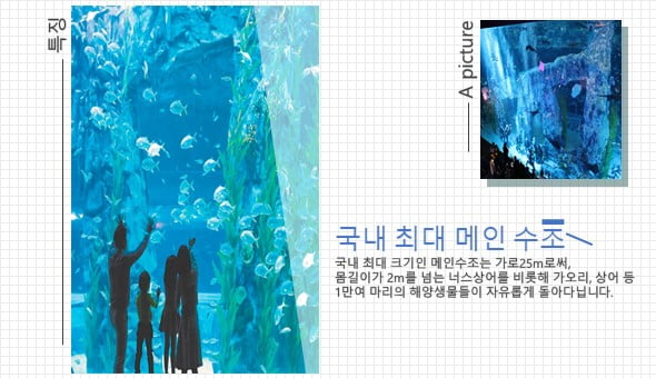 &quot;물고기 좋아해? 그럼 아쿠아리움이지&quot; 수도권 아쿠아리움 관람 Tip