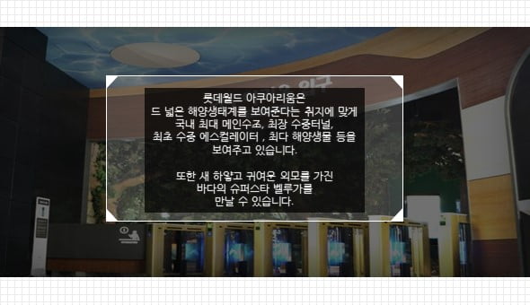 &quot;물고기 좋아해? 그럼 아쿠아리움이지&quot; 수도권 아쿠아리움 관람 Tip