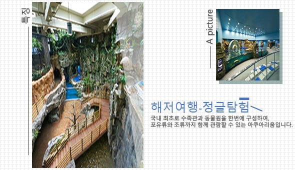 &quot;물고기 좋아해? 그럼 아쿠아리움이지&quot; 수도권 아쿠아리움 관람 Tip