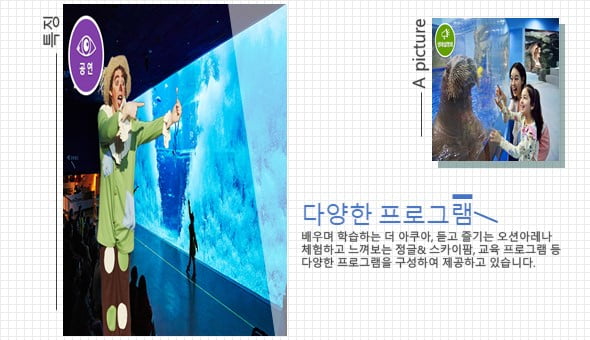 &quot;물고기 좋아해? 그럼 아쿠아리움이지&quot; 수도권 아쿠아리움 관람 Tip