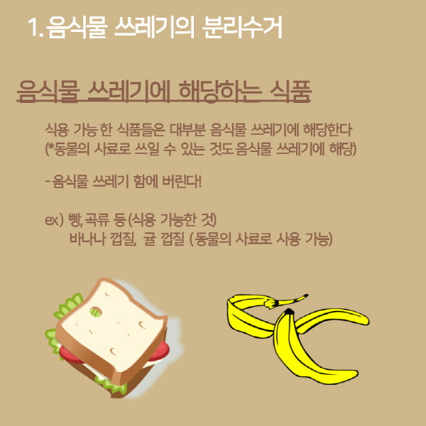 분리수거만 잘해도 돈을 벌수 있다? 올바른 분리수거 꿀 팁