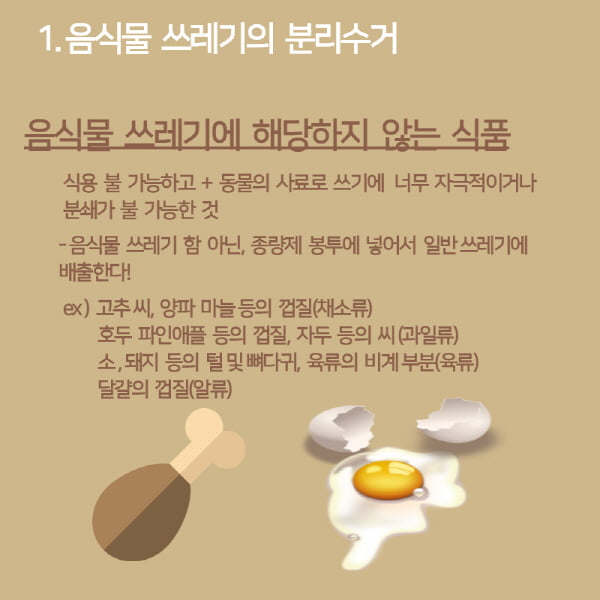 분리수거만 잘해도 돈을 벌수 있다? 올바른 분리수거 꿀 팁