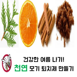 계피, 편백수로 생활 속 천연 모기 퇴치제 만들기