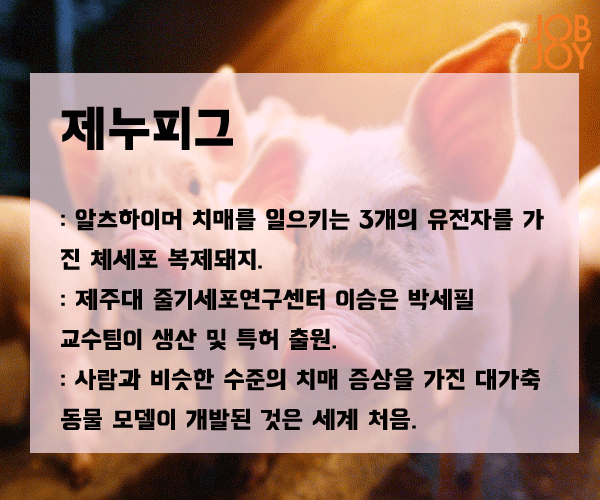 [시사 용어] 디지털 골드러시·관크·제누피그·슬로건 패션·오픈프라이스제