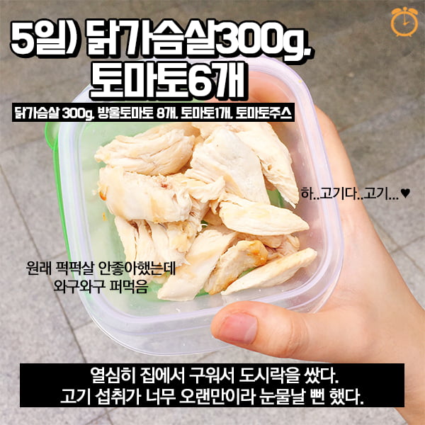 최대 9kg까지 뺀다? GM다이어트 7일 체험기