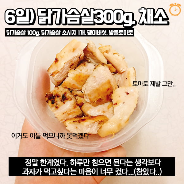 최대 9kg까지 뺀다? GM다이어트 7일 체험기