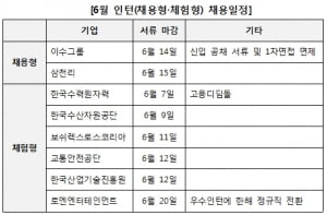 6월 인턴 채용, 정규직 전환 없는 '체험형'이 압도적