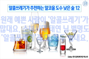 [카드뉴스] 알콜쓰레기가 추천하는 알코올 도수 낮은 술 12, 여행 MT 축제 뒤풀이 술자리에서 마시기 좋아