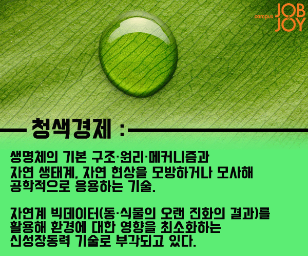 [시사용어] 이더리움·청색 경제·코드 아담·작은 사치 효과·포괄임금제