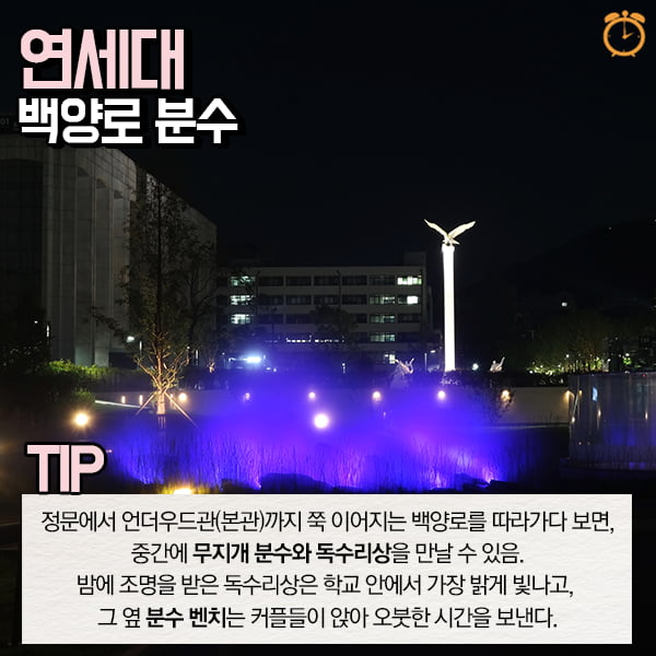 성년의날, 데이트 하기 좋은 캠퍼스 명소 베스트7