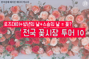 [카드뉴스] 로즈데이&#43;성년의 날&#43;스승의 날 = 꽃 전국 꽃시장 투어 10