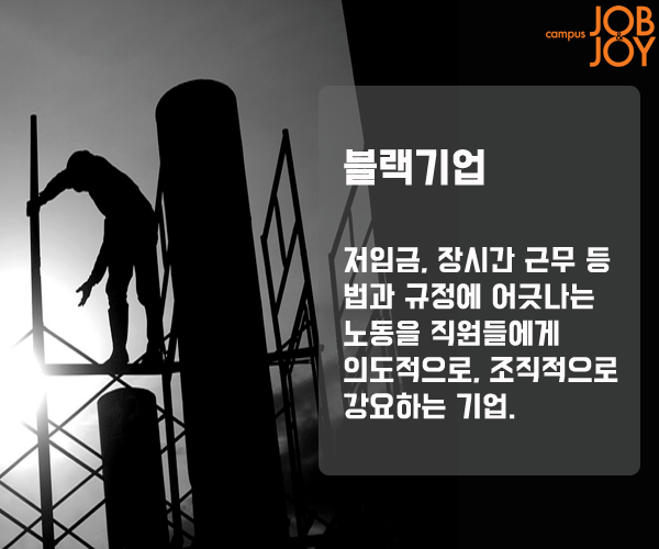 [시사 용어] 욜로·긱 경제·갈라파고스 증후군·선거비용 보전제도