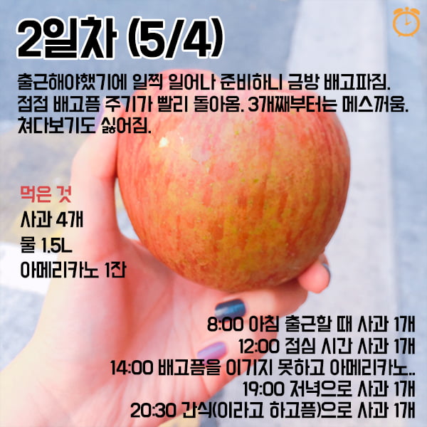3일만에 살빼는 사과 디톡스 체험기