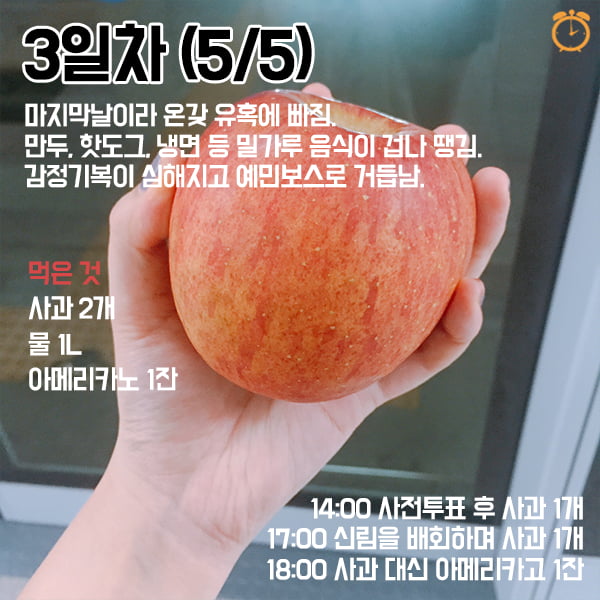 3일만에 살빼는 사과 디톡스 체험기