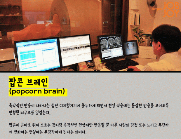 [시사용어] 스트림 리핑·화이트 해커·DSR·팝콘 브레인·베일보터