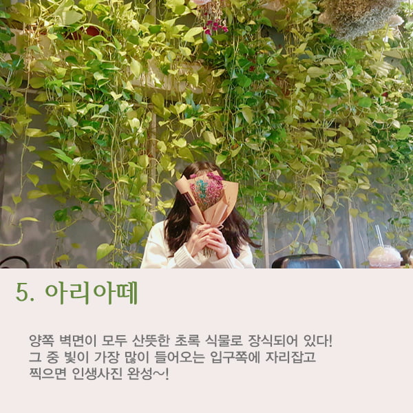 [대학생 기자] 홍대, 연남동, 강남에서 인생샷 남길 수 있는 플라워카페는?