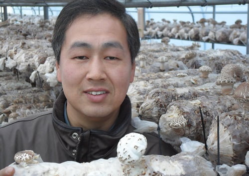 [한경매거진 JOB&amp;JOY 고객만족브랜드대상] 양질의 웰빙 버섯 재배하는 브랜드, 송고버섯