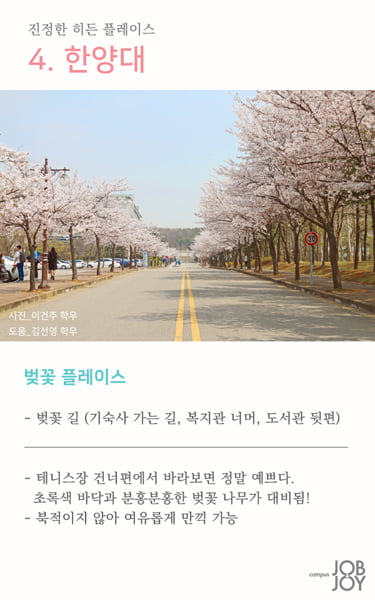 [카드뉴스] 캠퍼스 벚꽃 명소와 인생샷 스팟