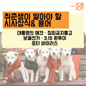 [시사 상식] 퍼스트독·3.15완후이·집회금지통고… 이번주 시사상식 용어