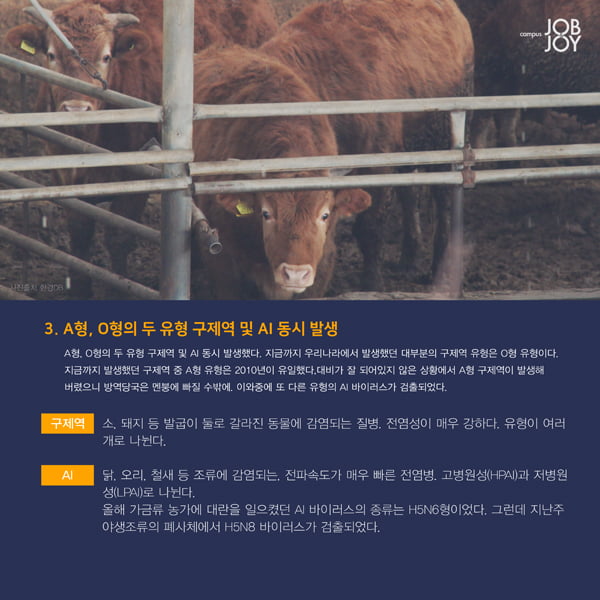 [카드뉴스] 2월 3주차 시사 용어 사전