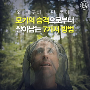 [카드뉴스] 모기의 습격으로부터 살아남는 7가지 방법