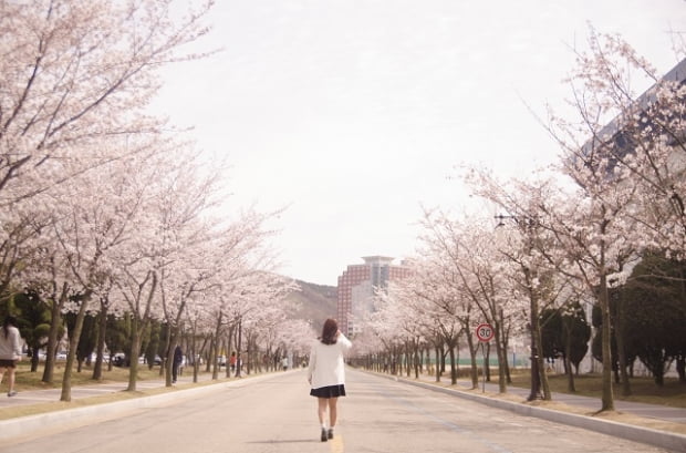 “한양대 ‘다 찍어드립니다’가 다 알려드립니다!” 사진바보 탈출법