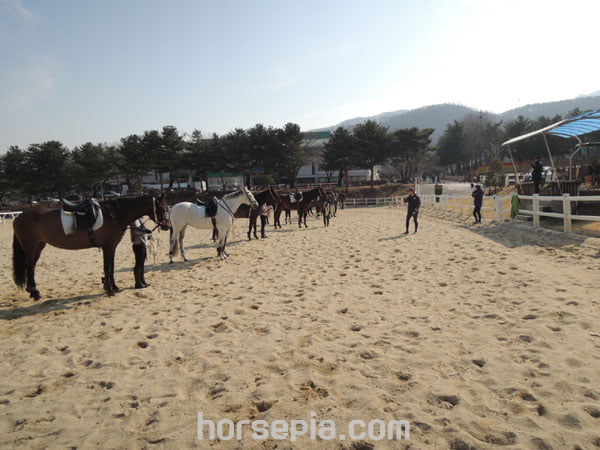 말산업 인적자원개발 컨소시엄 교육 훈련으로