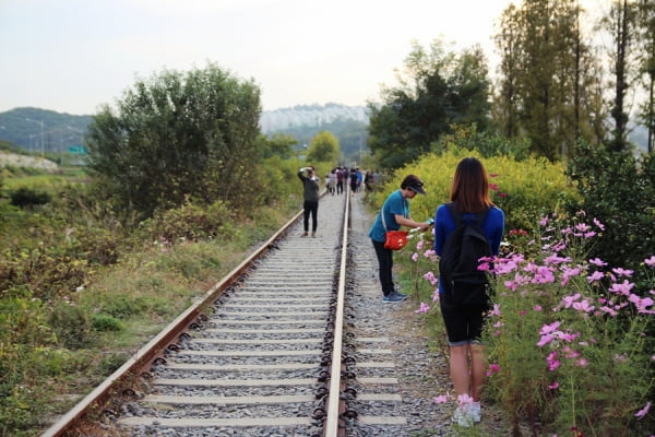 남는 건 사진뿐!  ‘셀프’스냅사진 프로젝트 