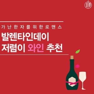 [카드뉴스] 발렌타인데이 저렴이 와인 추천