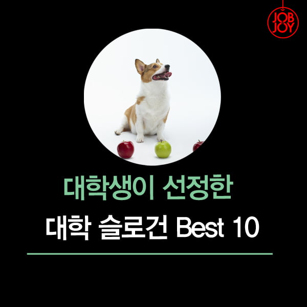 [카드뉴스] 대학생이 선정한 대학 슬로건 BEST 10