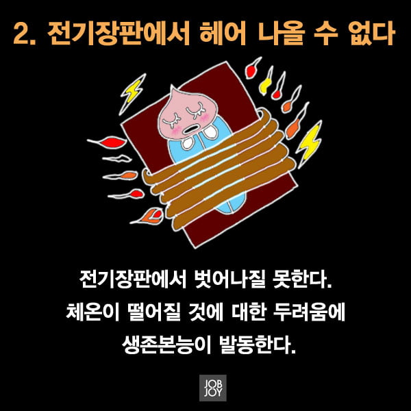 [카드뉴스] 추워진 아침, 우리가 지각할 수밖에 없는 타당한 이유 