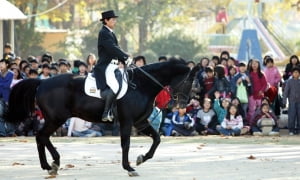 한국마사회 인력개발원 '말산업 창업전문교육과정' 개설