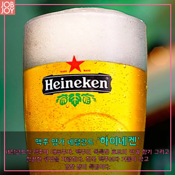 [카드뉴스]  맥주 매니아 모여라 나라별 대표 맥주