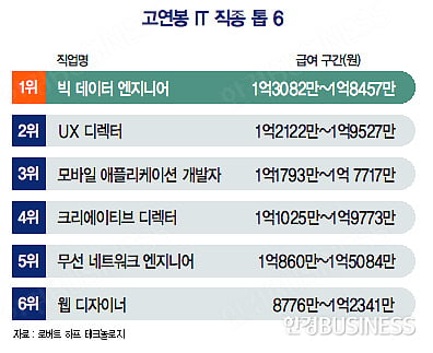 IT 분야 연봉 1위 ‘빅 데이터 엔지니어’