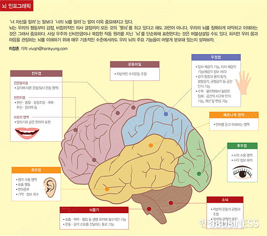 [CEO, 뇌를 정복하라] 뇌과학자가 답해 주는 ‘뇌에 대한 오해와 진실’