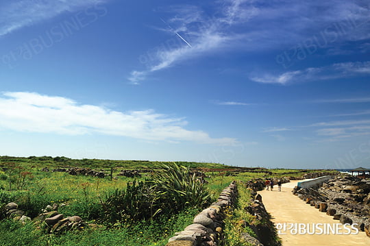 [나를 찾는 여름] 다 타버린 당신, 떠나라!