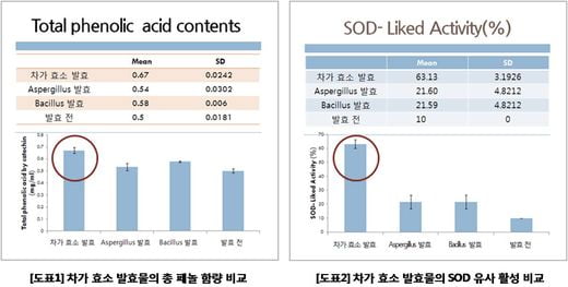 ‘김동명차가버섯’, 차가버섯 효소식품 제조공법 특허 취득!