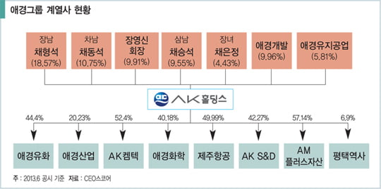 [비즈니스 포커스] 호텔·식품까지 손 뻗은 채형석 부회장