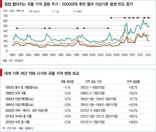 [곡물가 폭등, 재앙은 시작됐다] 단번에 30% ‘뚝’…투기 수요 불러