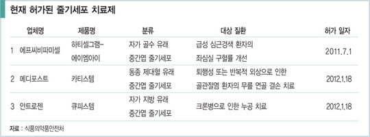 [비즈니스 포커스] 손발 묶인 채 ‘세계 톱’ 줄기세포 기업들