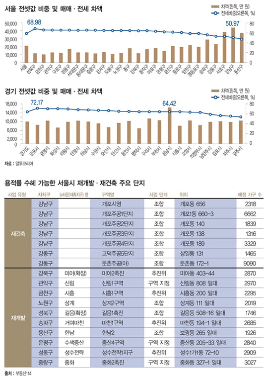 [SPECIAL REPORT] 강남권 재건축 활기… 수익형 상품 차별화