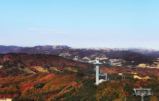 [PLAZA] 에버랜드, 단풍 시즌 맞아 이벤트 진행 外