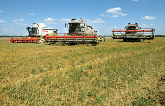 <YONHAP PHOTO-0200> (FILES) A picture taken on August 11, 2009 shows Ukrainian farmers harvesting grain near the village Zhovtneve village, in the region of Chernigov, some 220km north of Kiev.  Ukraine is impose a cap on wheat and barley exports until the end of the year due a severe drought, officials said on August 17, 2010 after a full ban by Russia triggered concern on global grain supplies. AFP PHOTO FILES / GENYA SAVILOV



/2010-08-18 01:55:12/

<저작권자 ⓒ 1980-2010 ㈜연합뉴스. 무단 전재 재배포 금지.>