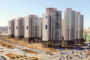 삼성물산 건설부문이 시공한 서초구 반포동 아파트 동 옆면에 태양광발전을 위한 태양광모듈이 설치돼 눈길을 끌고 있다.이 태양광 발전 시스템으로 아파트 경관 조명에 필요한 전력의 12%를 절감할 수 있다.
/강은구기자 egkang@hankyung.com 2009.03.06