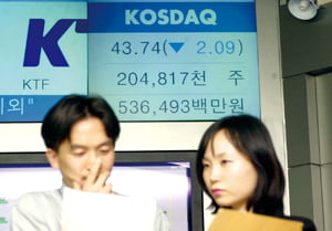 코스닥 지수가 10일 코스닥시장 개장이래 최저점인 43.74로 마감하였다. 코스닥증권시장 관계자들이 심각하게 자료들을 검토하고 있다.
/김병언 기자 misaeon@hankyung.com