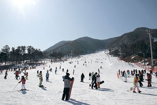 [PLAZA] 델타항공, 강화된 고객 서비스 제공 外